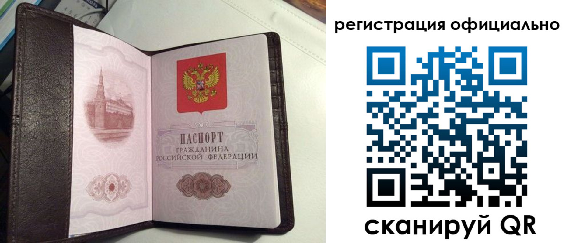 прописка ребенка в Апатитах
