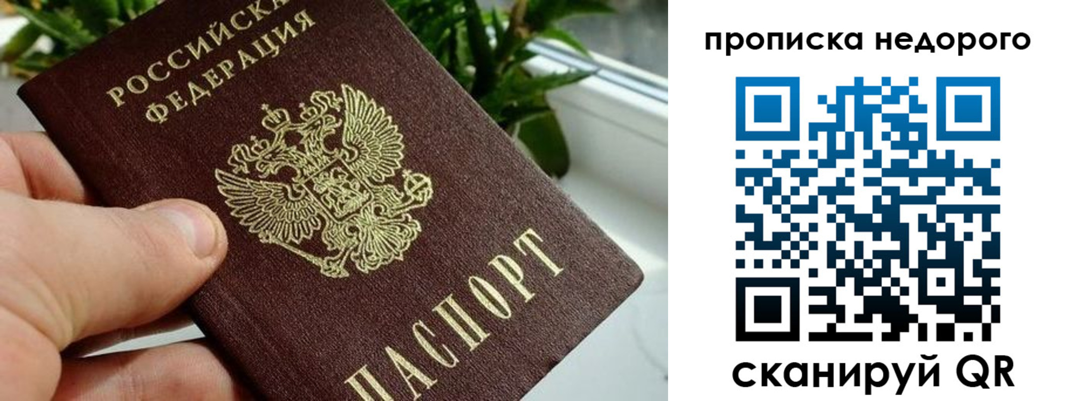 прописка для кредита в Апатитах